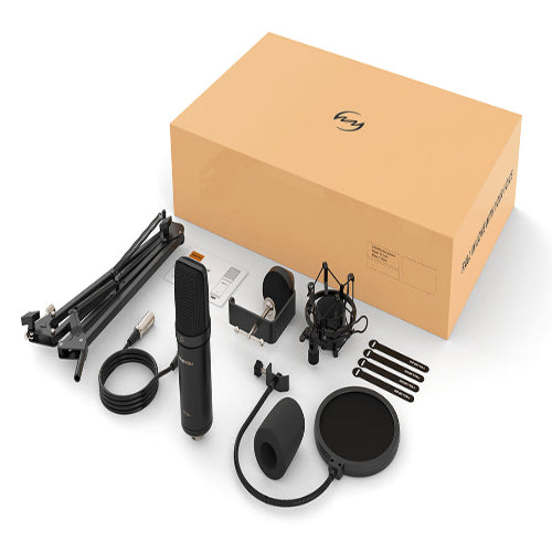 Zingyou ZY-CA1 Condenser Microphone